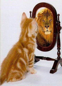 新澳门四不像图片大全2024年|确保成语解释落实的问题_进阶款.1.755