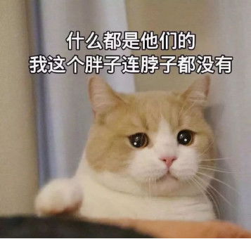 澳门一码一码100准确河南|新趋势下的投资攻略与机遇_HD品.9.372