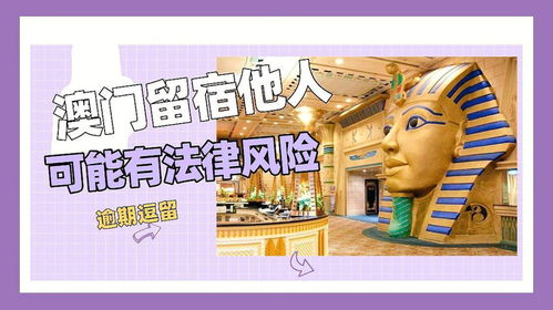 2024澳门资料免费大全|探索人生的无限可能_管家婆.2.424